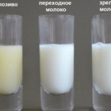Kravlji kolostrum: sastav i svojstva, koliko dana daje, kako se čuva